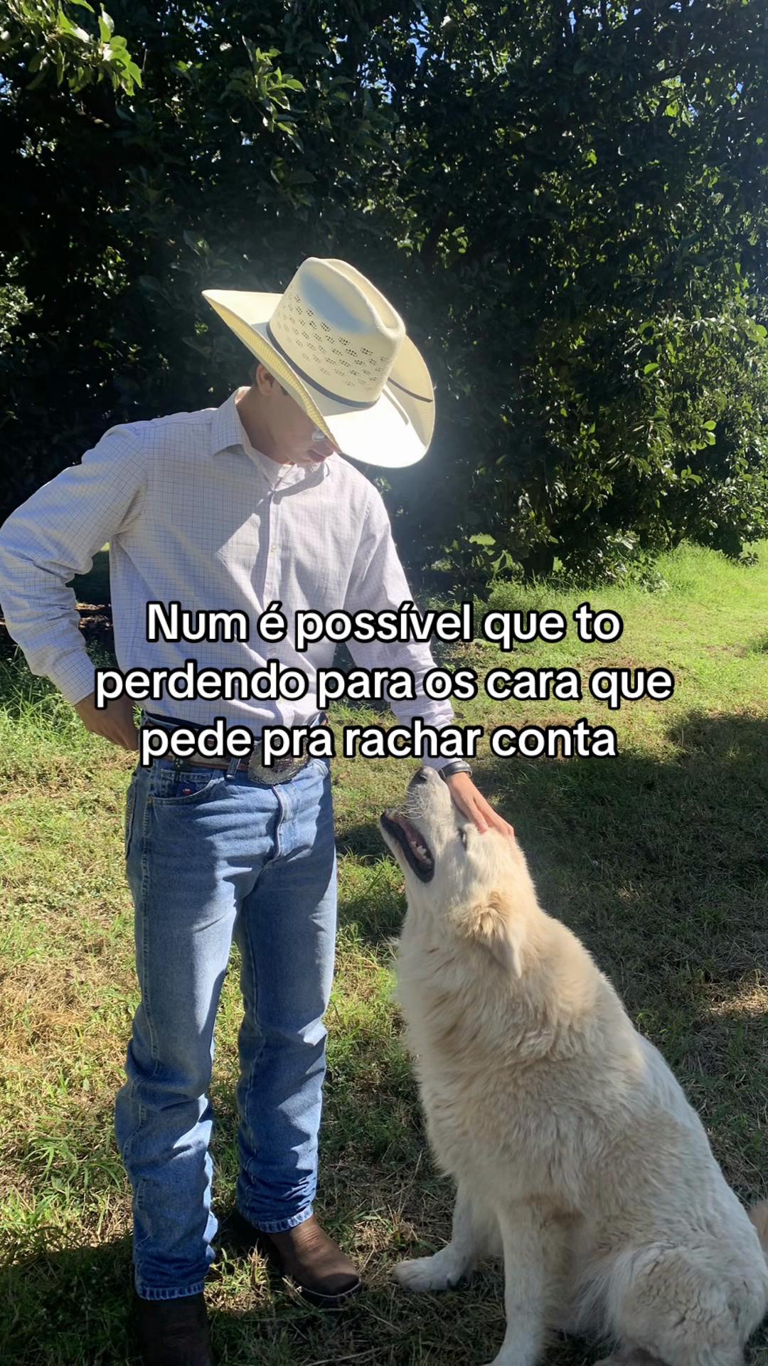 @joão sanches