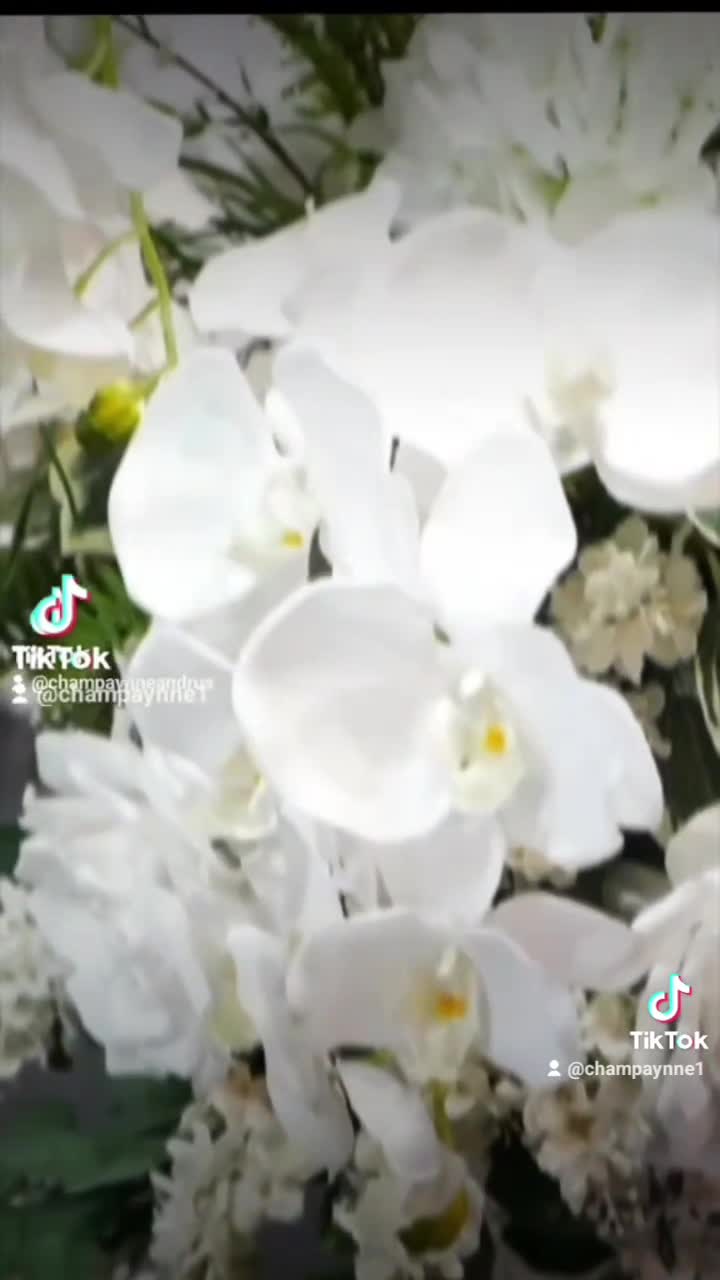 @Champaynne