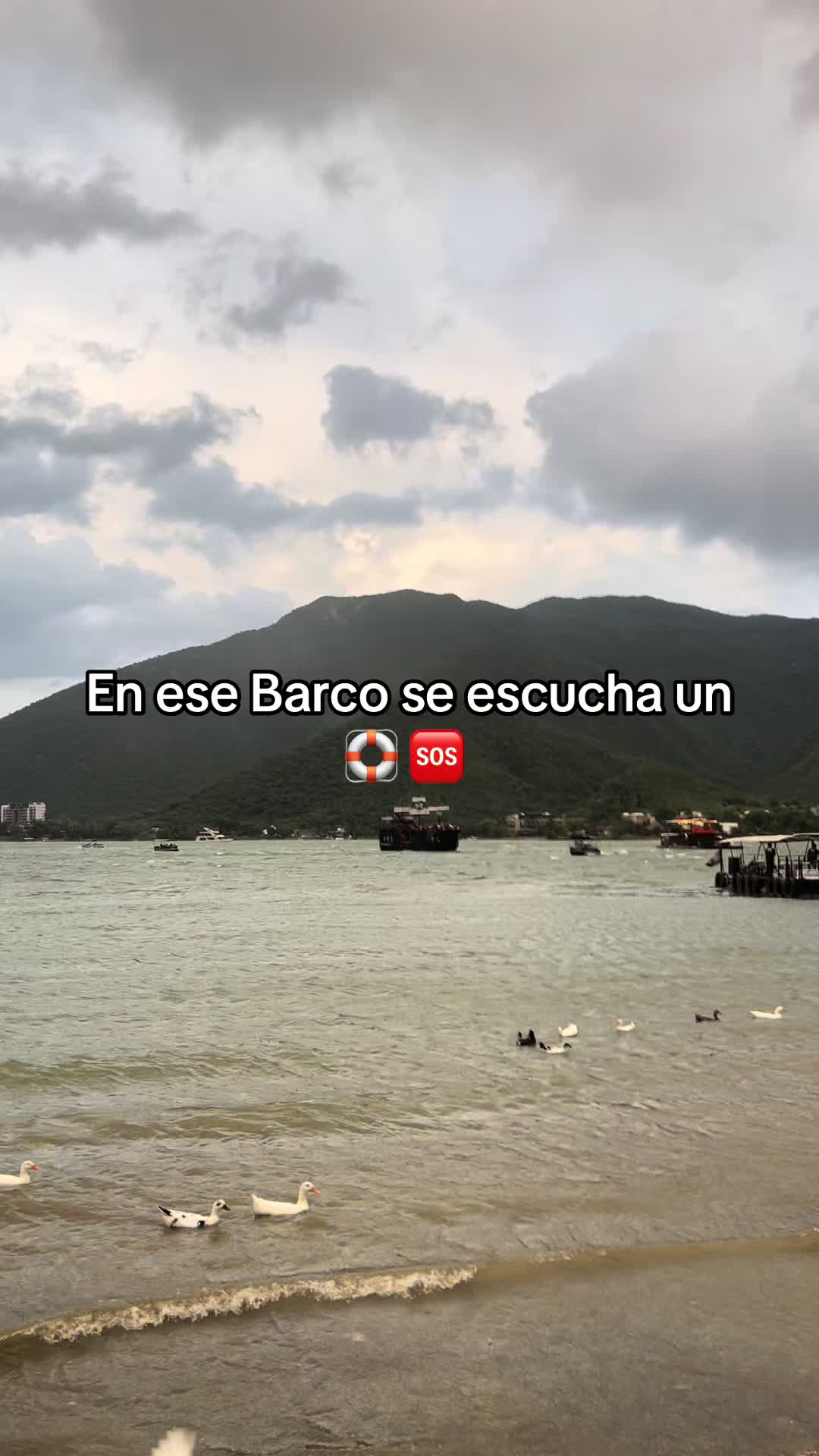 @Texazz🇲🇽