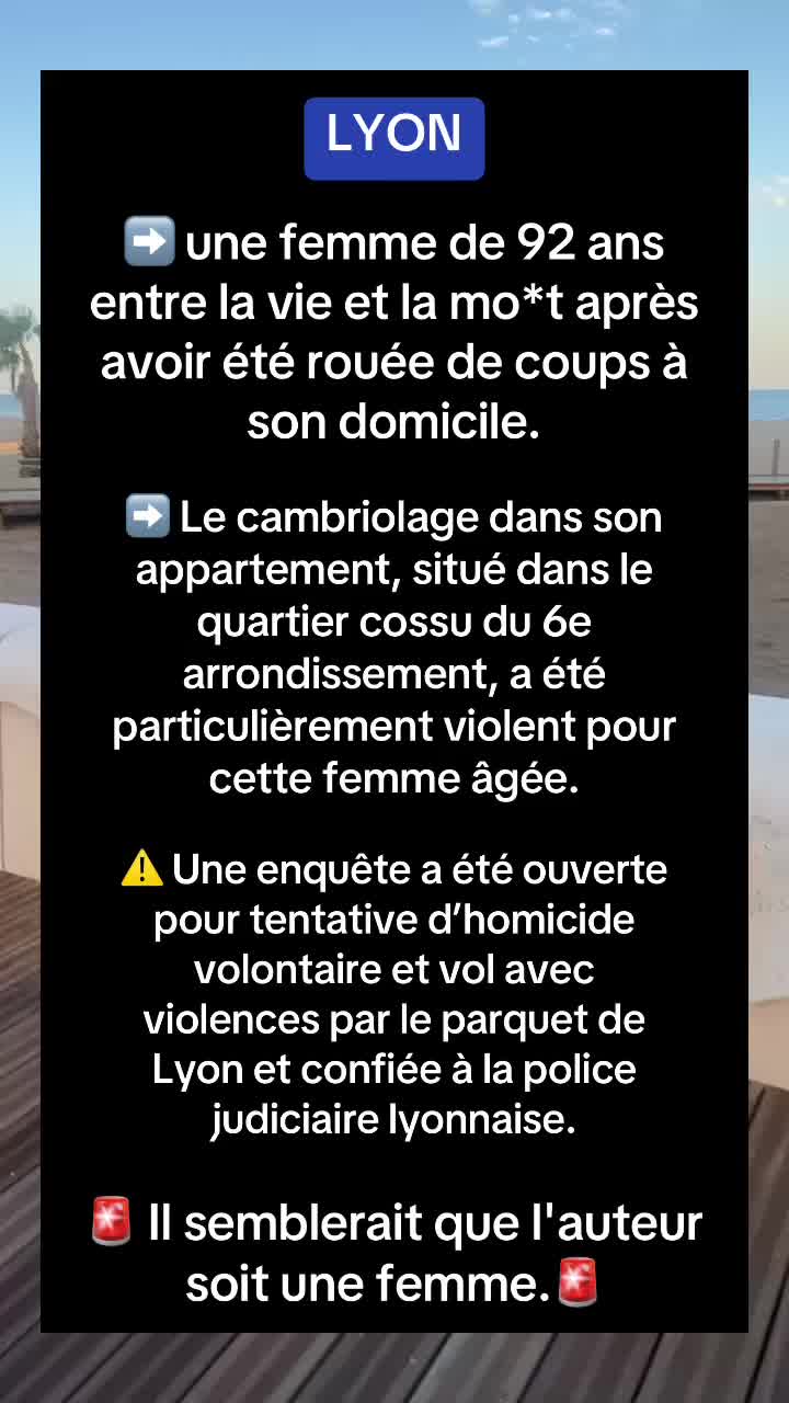 @🌼 Infonews 🌼