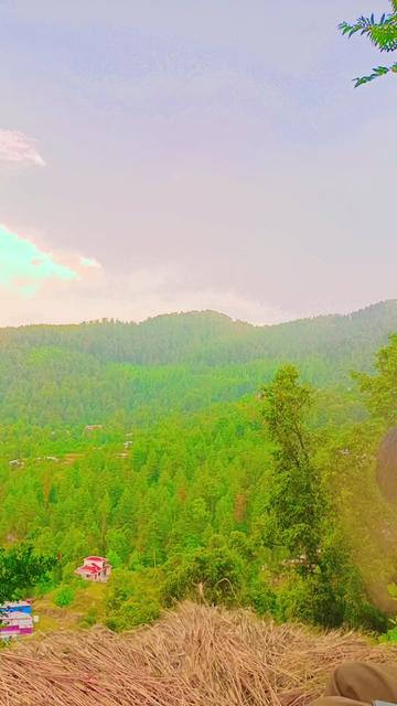 @🍁꧁༒☬ کشمیری ☬༒꧂🍁