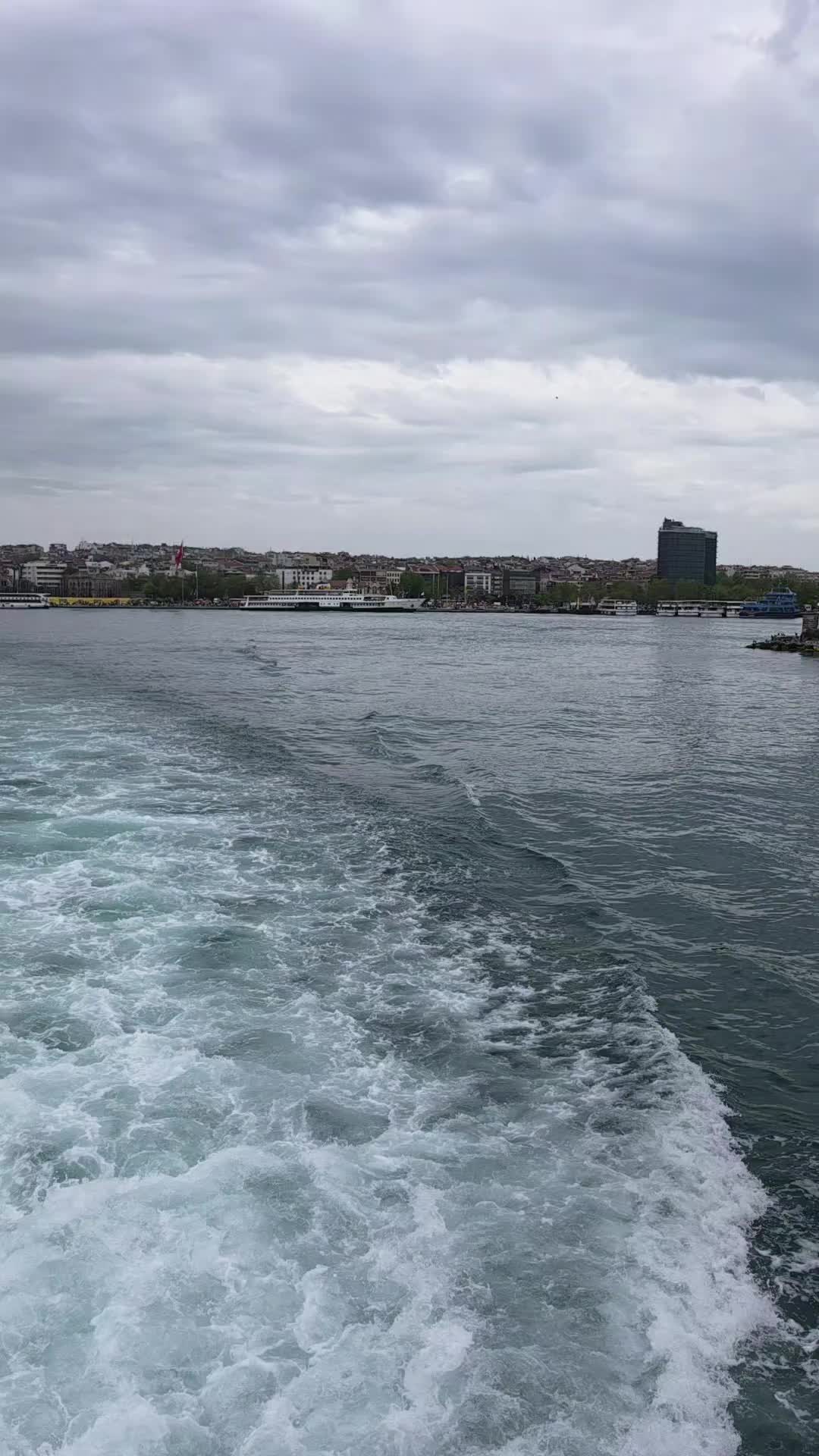 @rominaiurcu94
