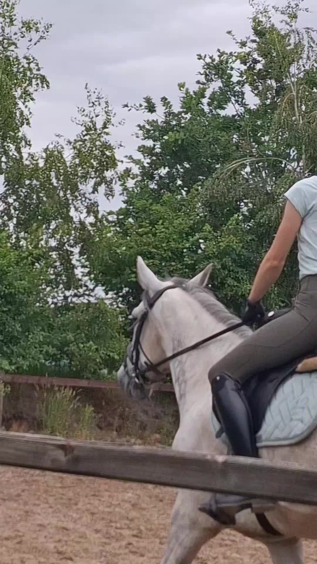 @horses.by.Britt:)