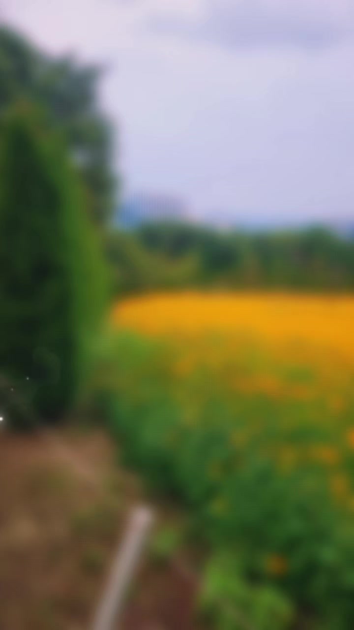 @✨☘️사라 ☘️✨