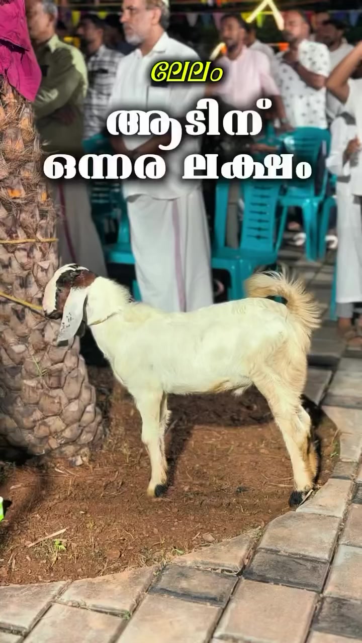 @Its_Badar