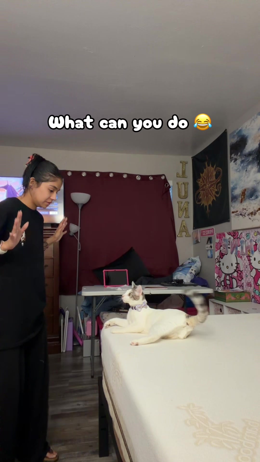 @Ana Xano