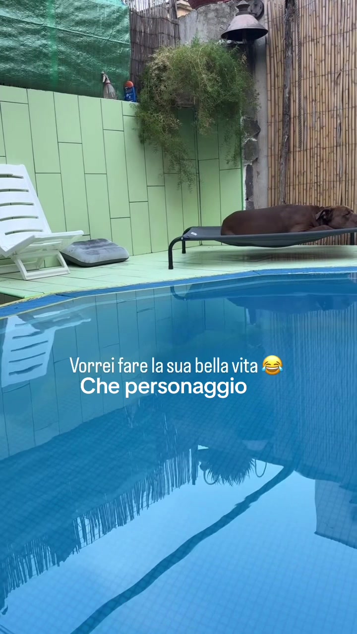 @POCHO🐻