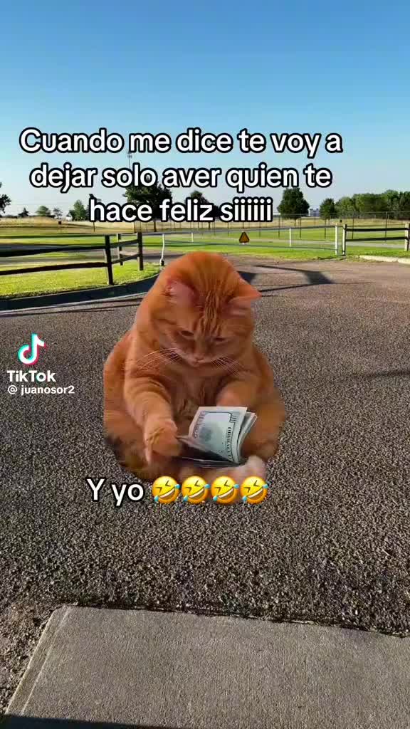 @Rosy 🙏