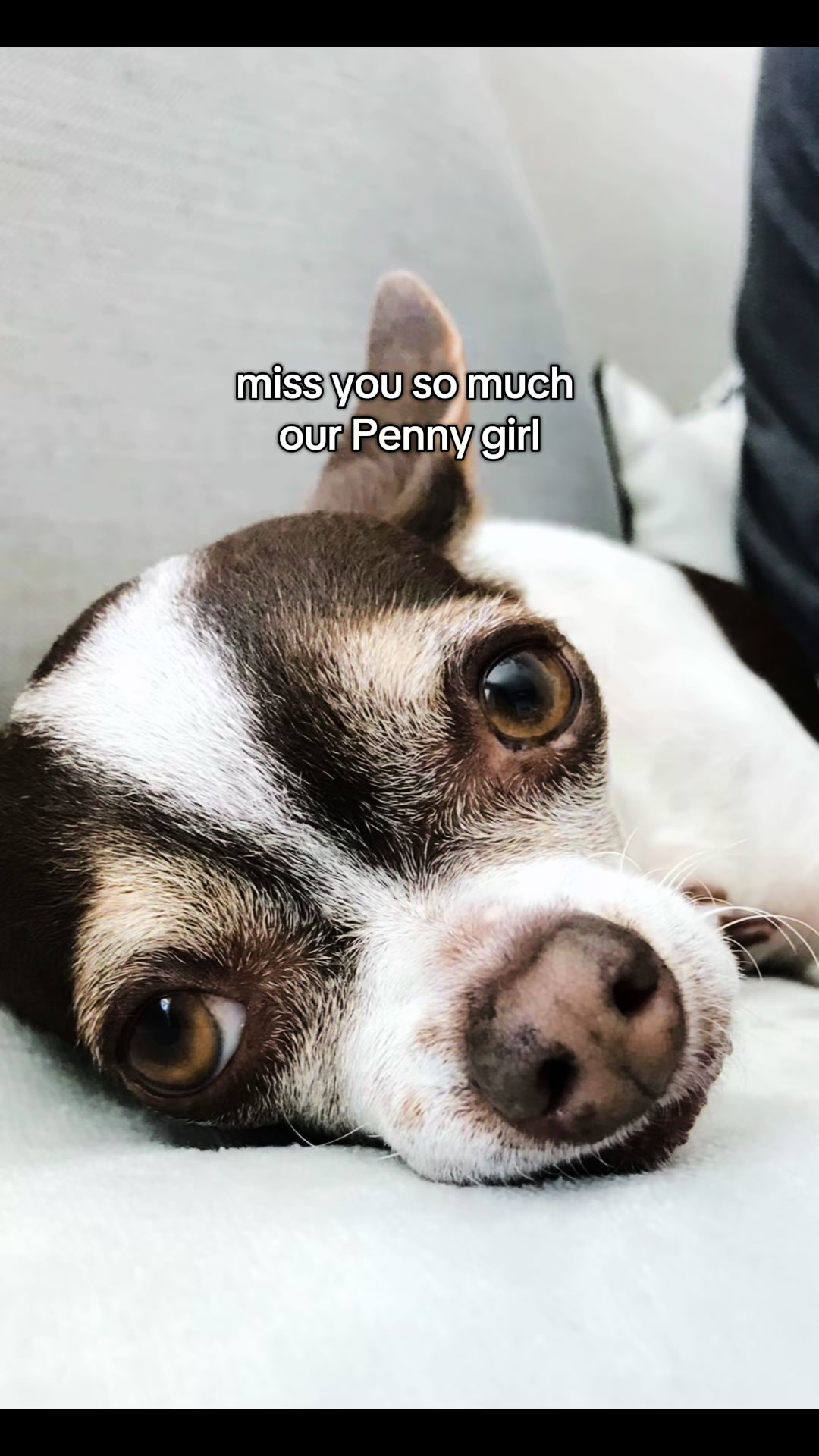 @Jen