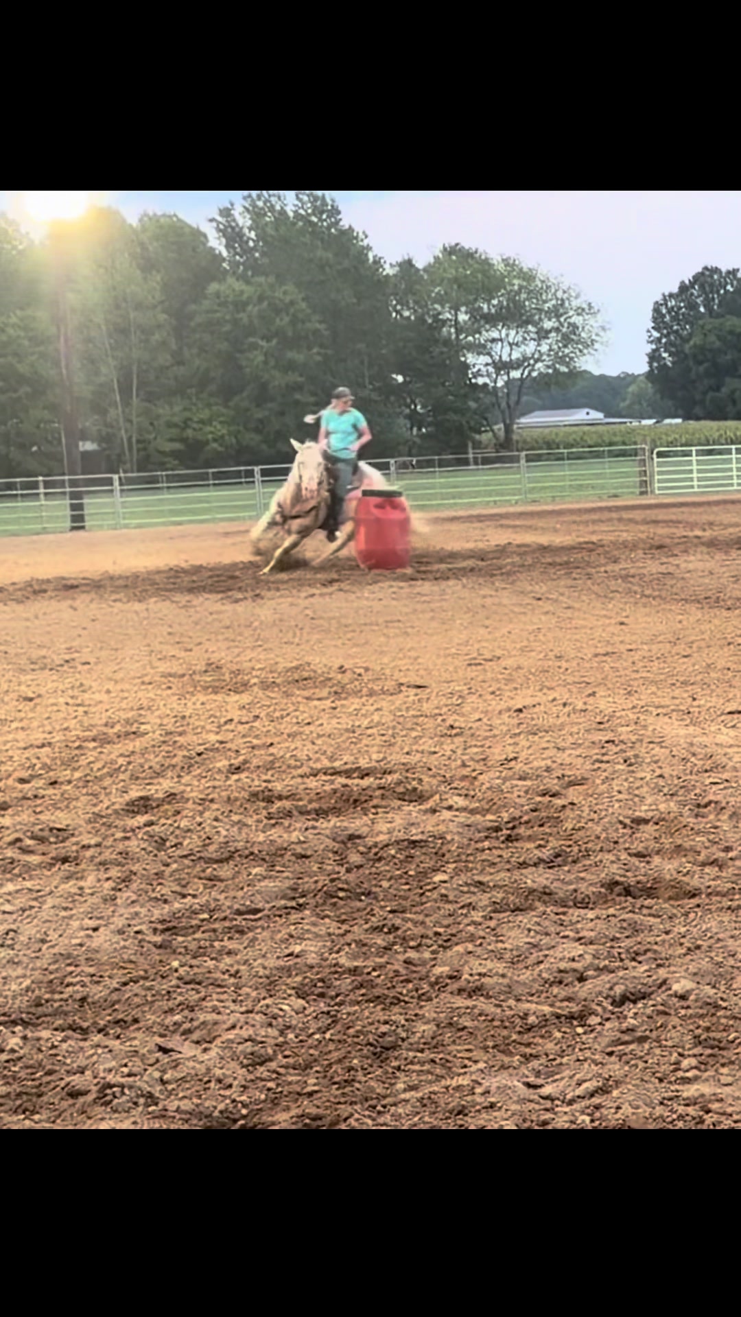@KY Performance Horses