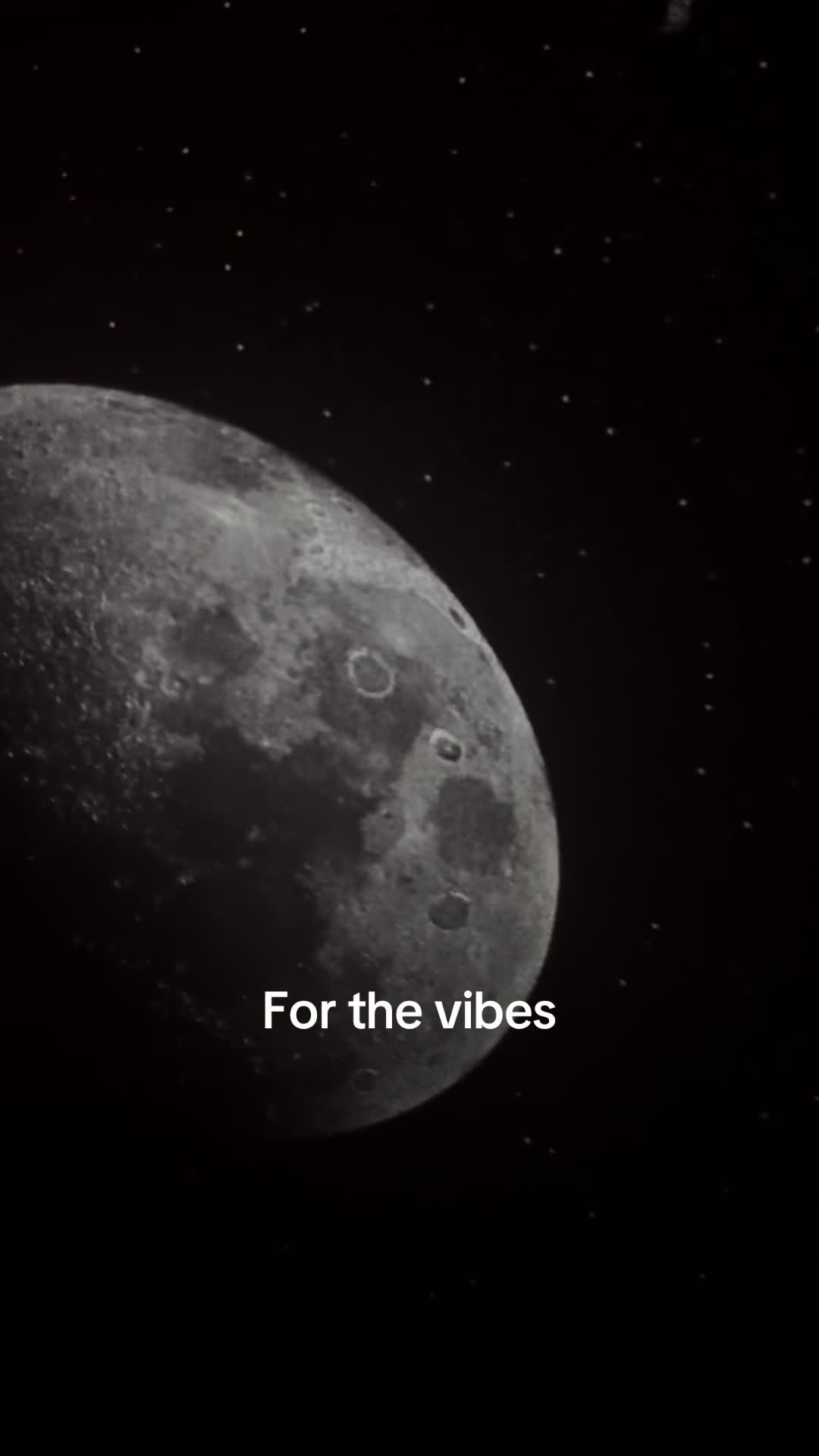 @stupidsupply