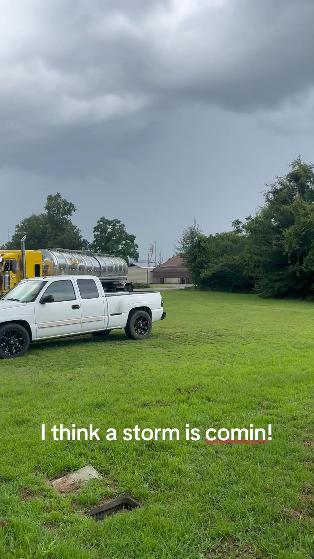 @Mullet