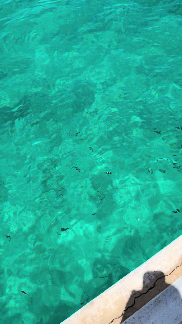 @CruisinWithCandace🛳️