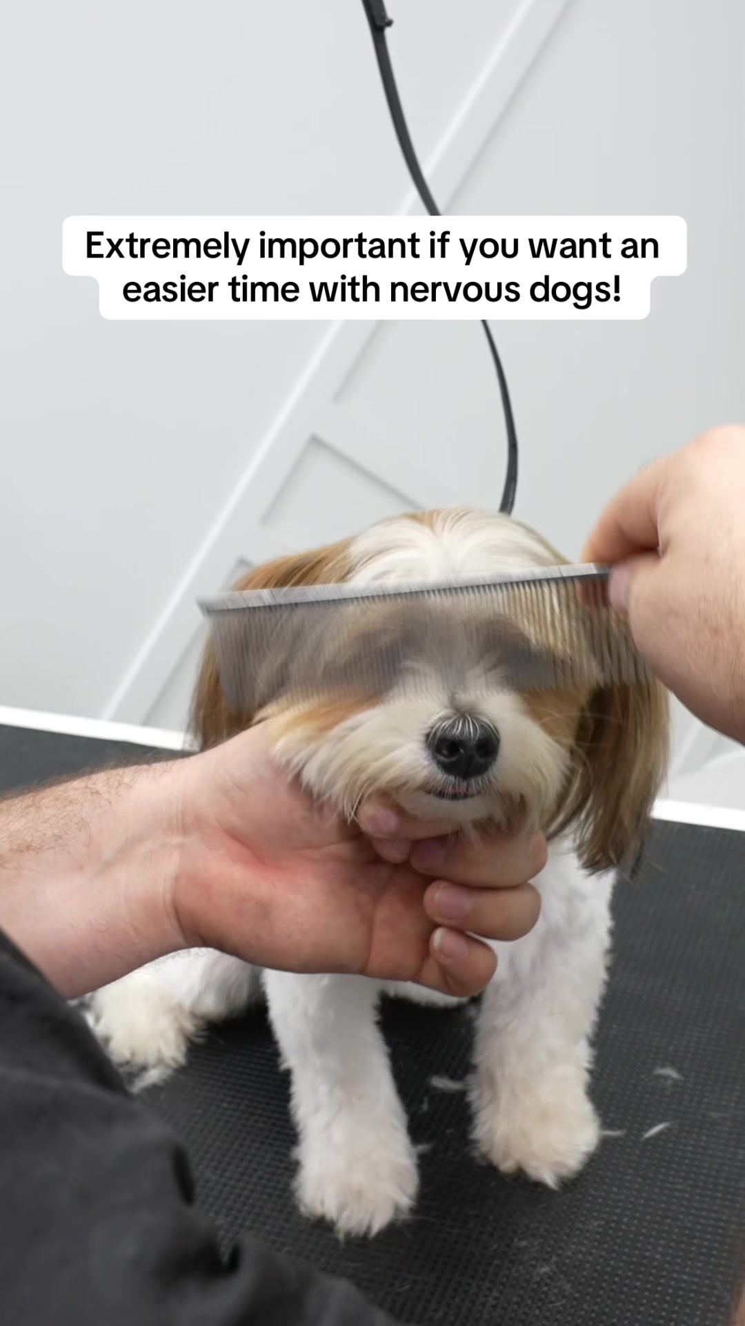 @NorCal Grooming Academy