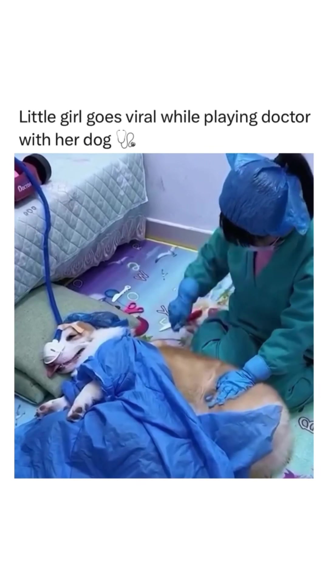 @MAKE A FRIEND PAWS 🐾