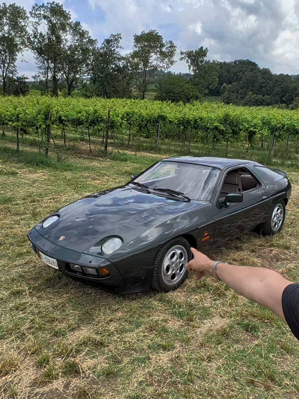 @Tasting Cars