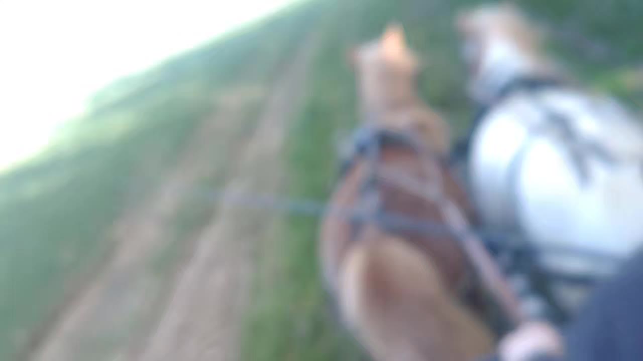 @💞🐴 Madeleine 🐴💞