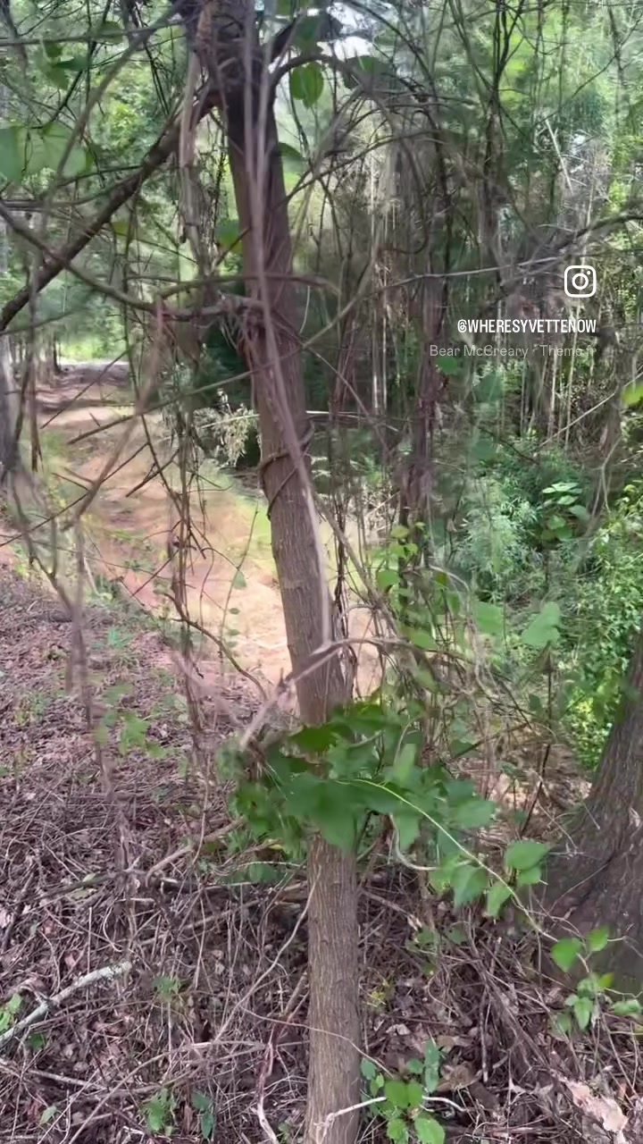 @wheresyvettenow