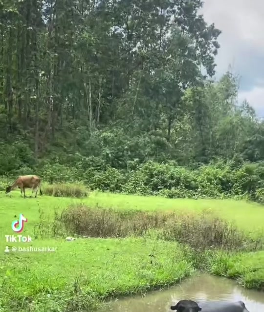 @Bashu boro dahal ko choro