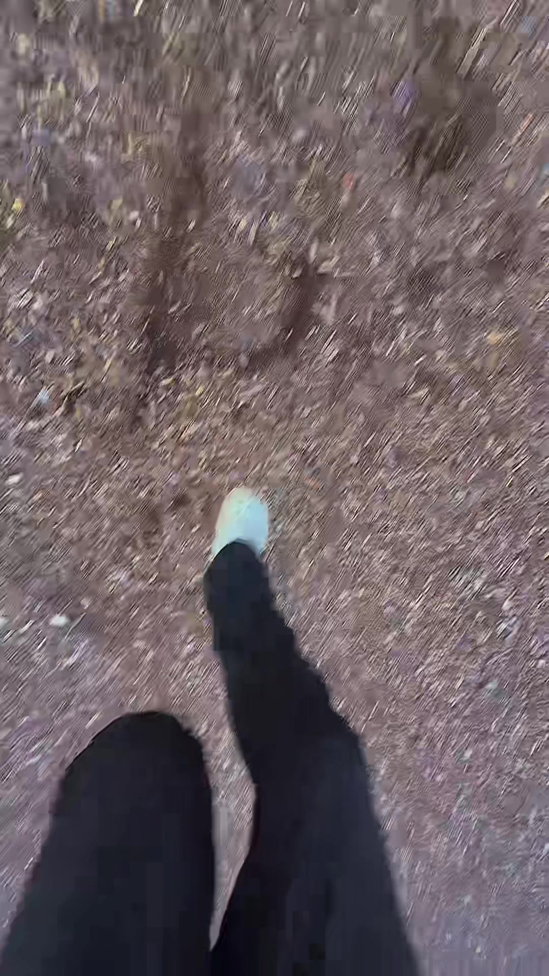@Thatonefairy4ever