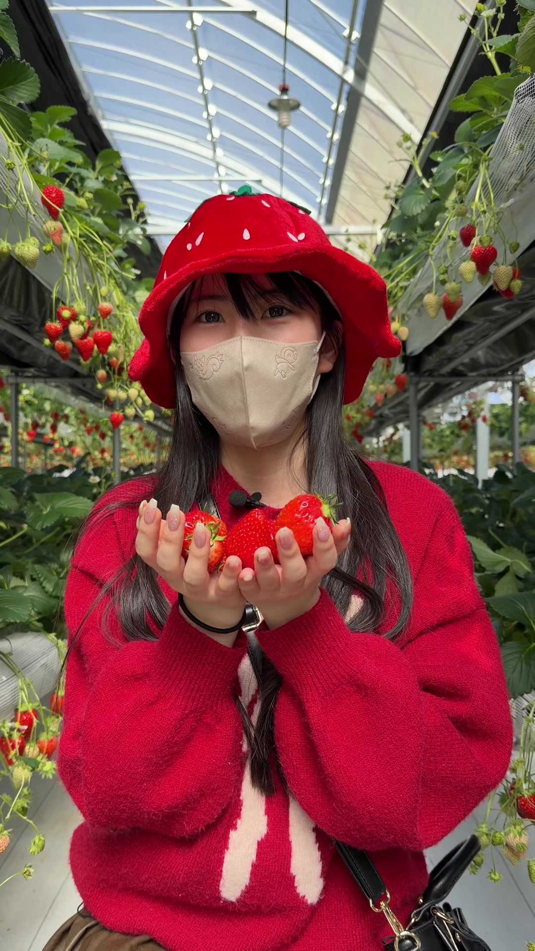 @日出まさ子