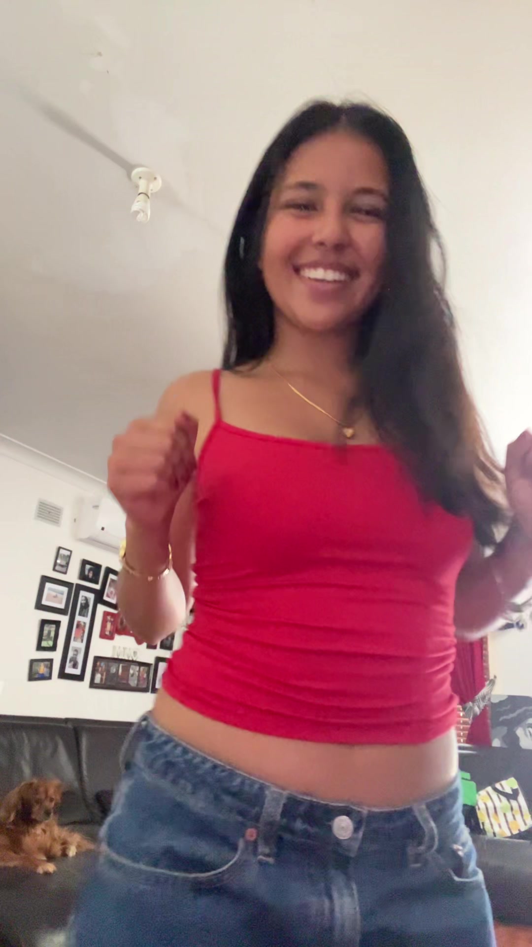 @dansiagomes