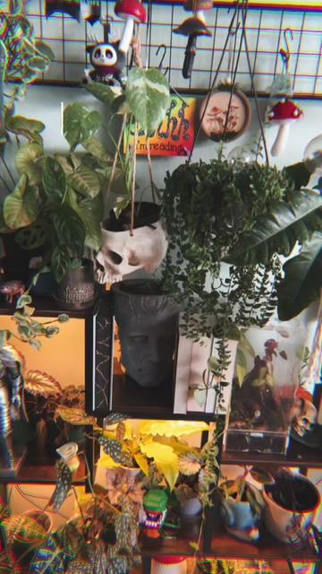 @🗡️🌿📚Tex📚🌿🗡️