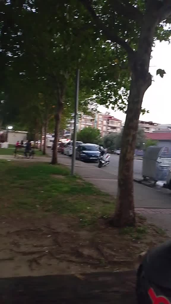 @gözüm Erdal Salihli