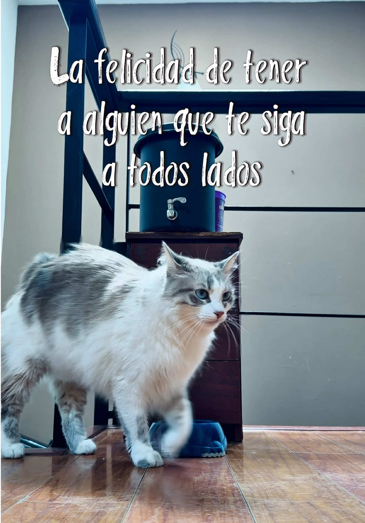 @Daluh Rodr&iacute;guez