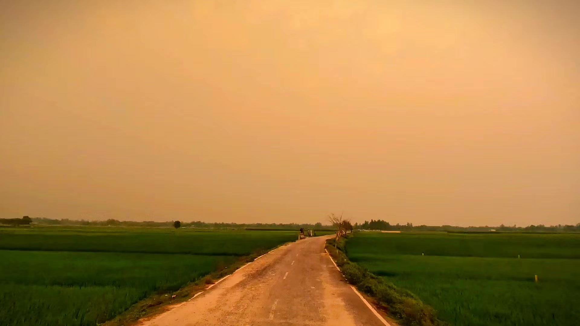@Arick Munna
