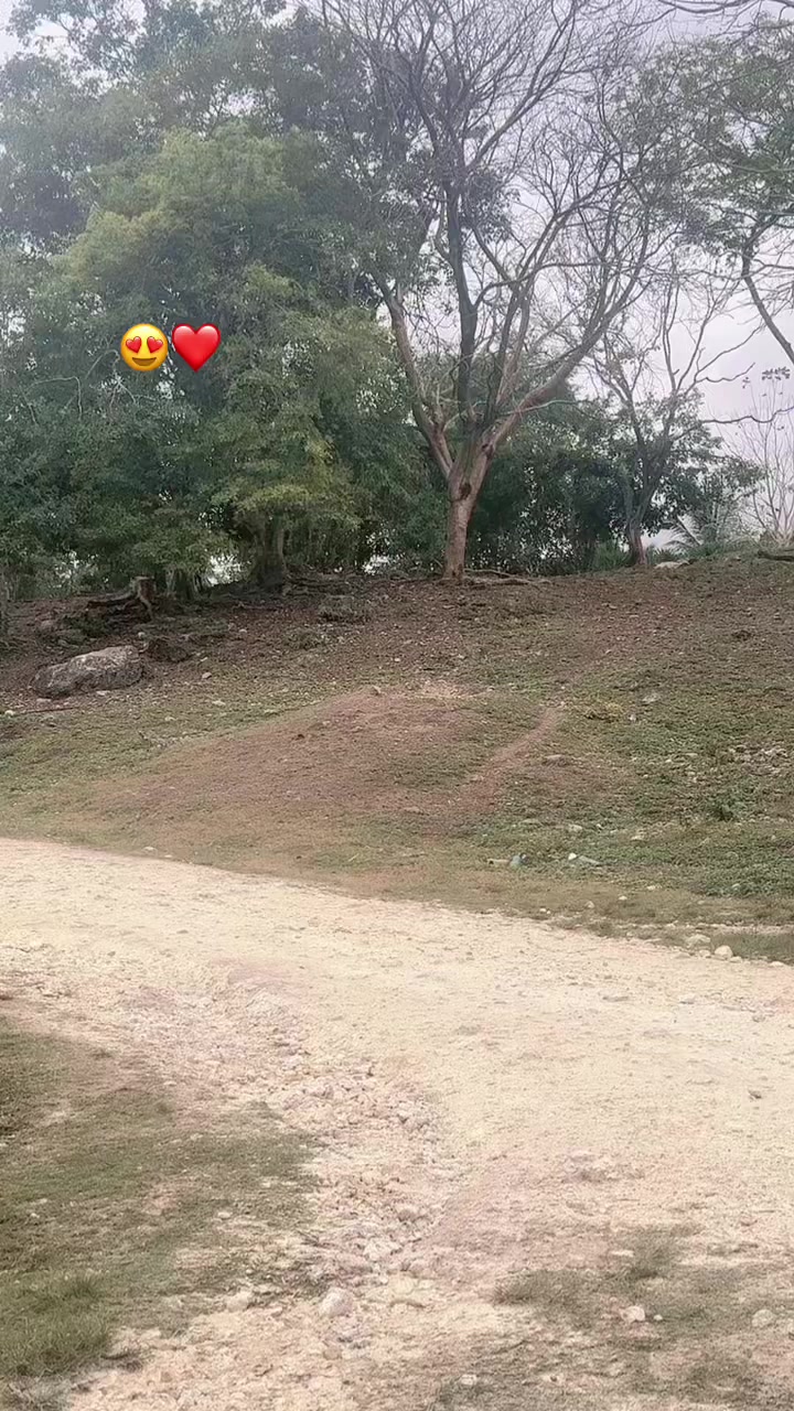 @taniasanches69✅