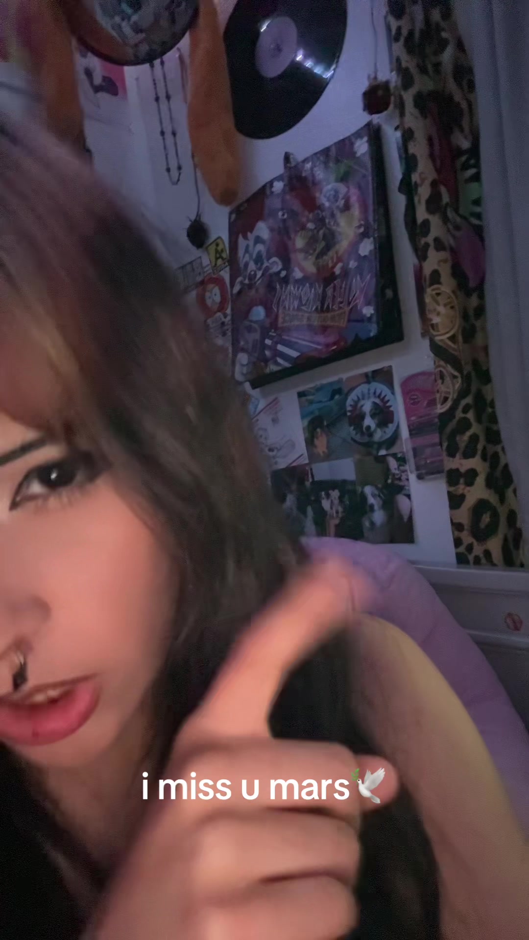 @🕸️