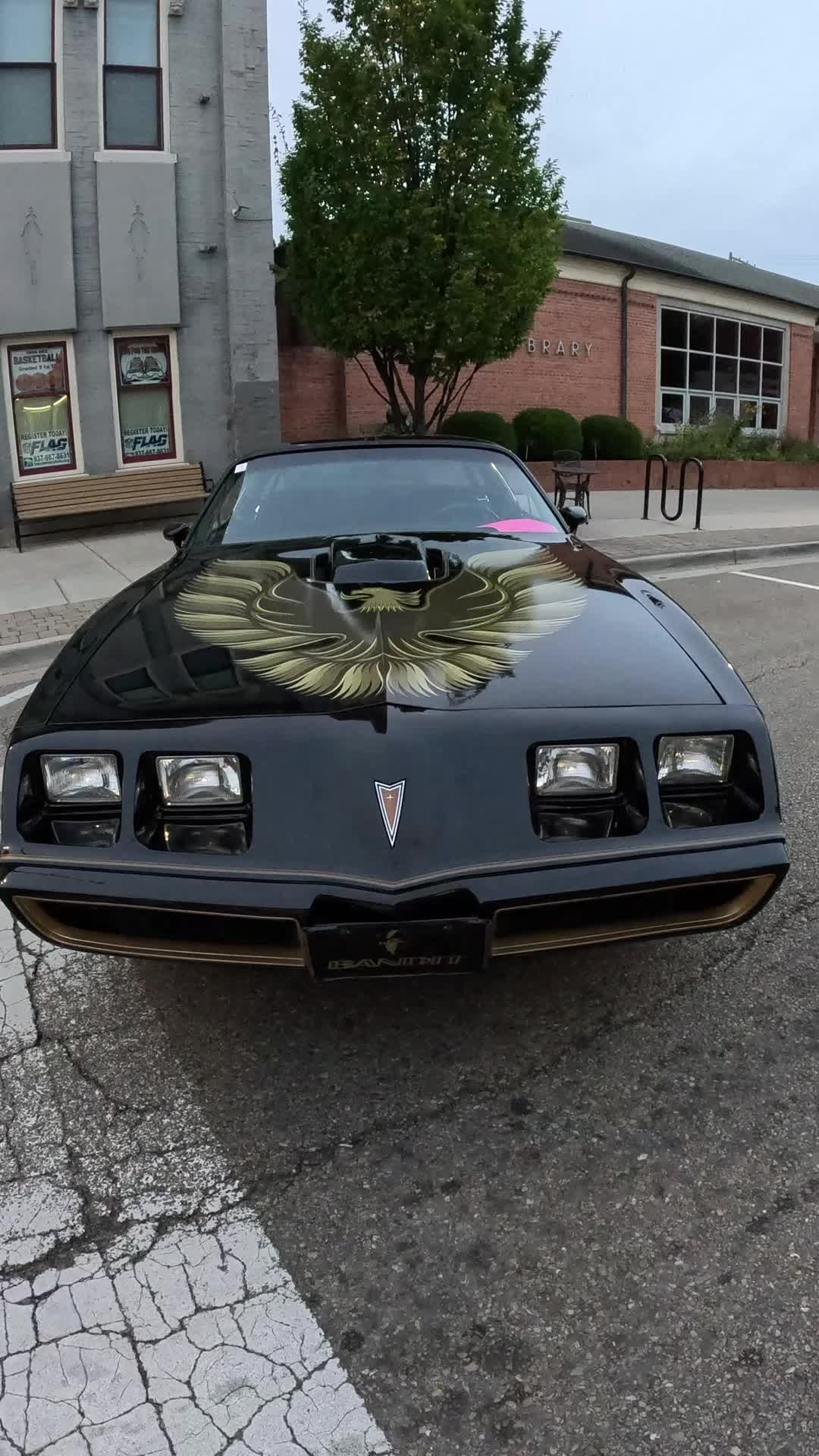 @Cars and Adventures