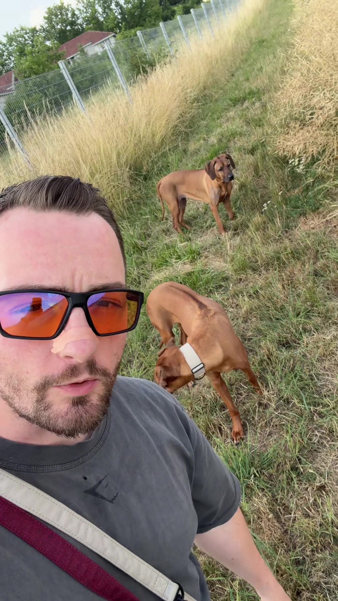@Ridgeback Diaries
