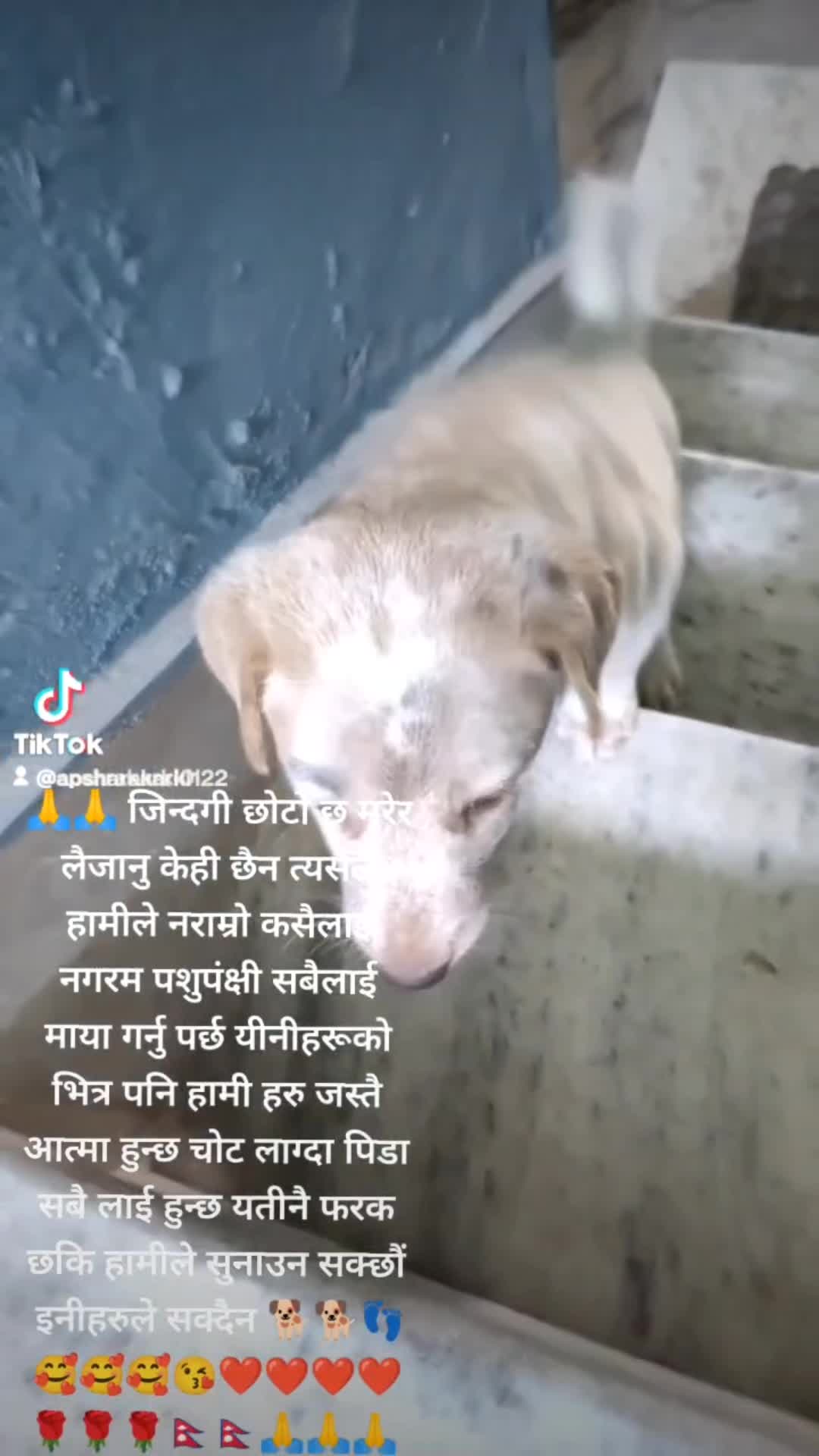 @apsharakarki122