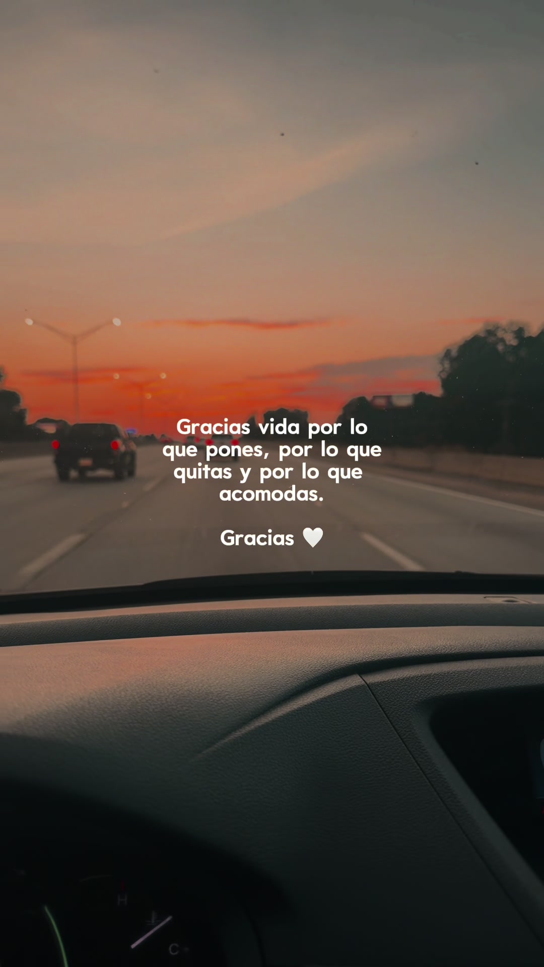 @Nelsis👑