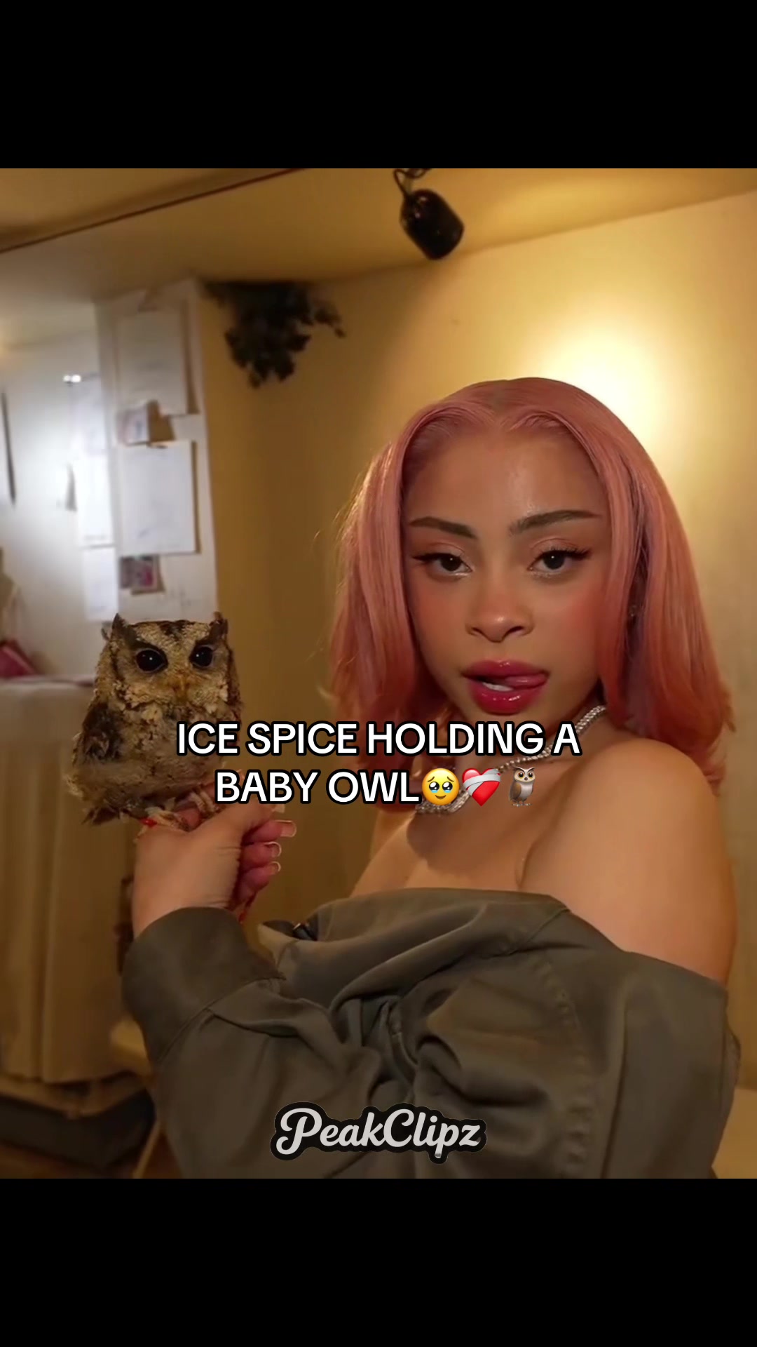 @PeakClipz