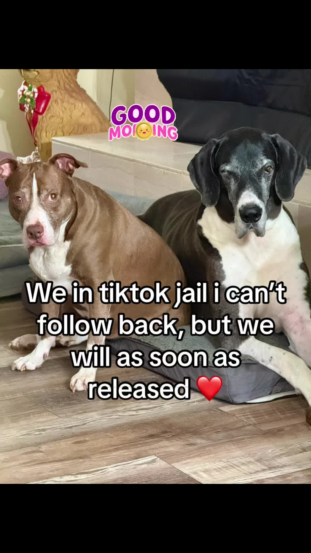 @dem fur kids mum