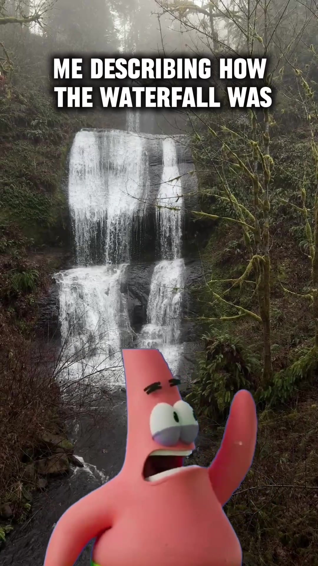 @Cat PNW | 🐈😶&zwj;🌫️🔥☠️🤪