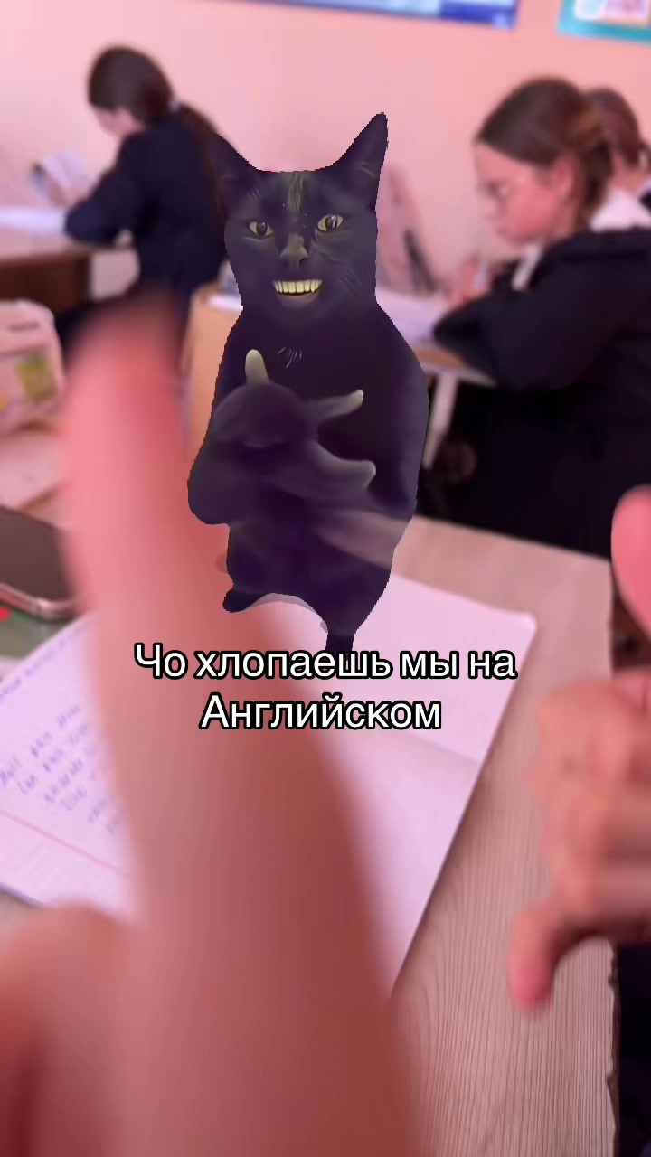 @Екатерина Шабаева