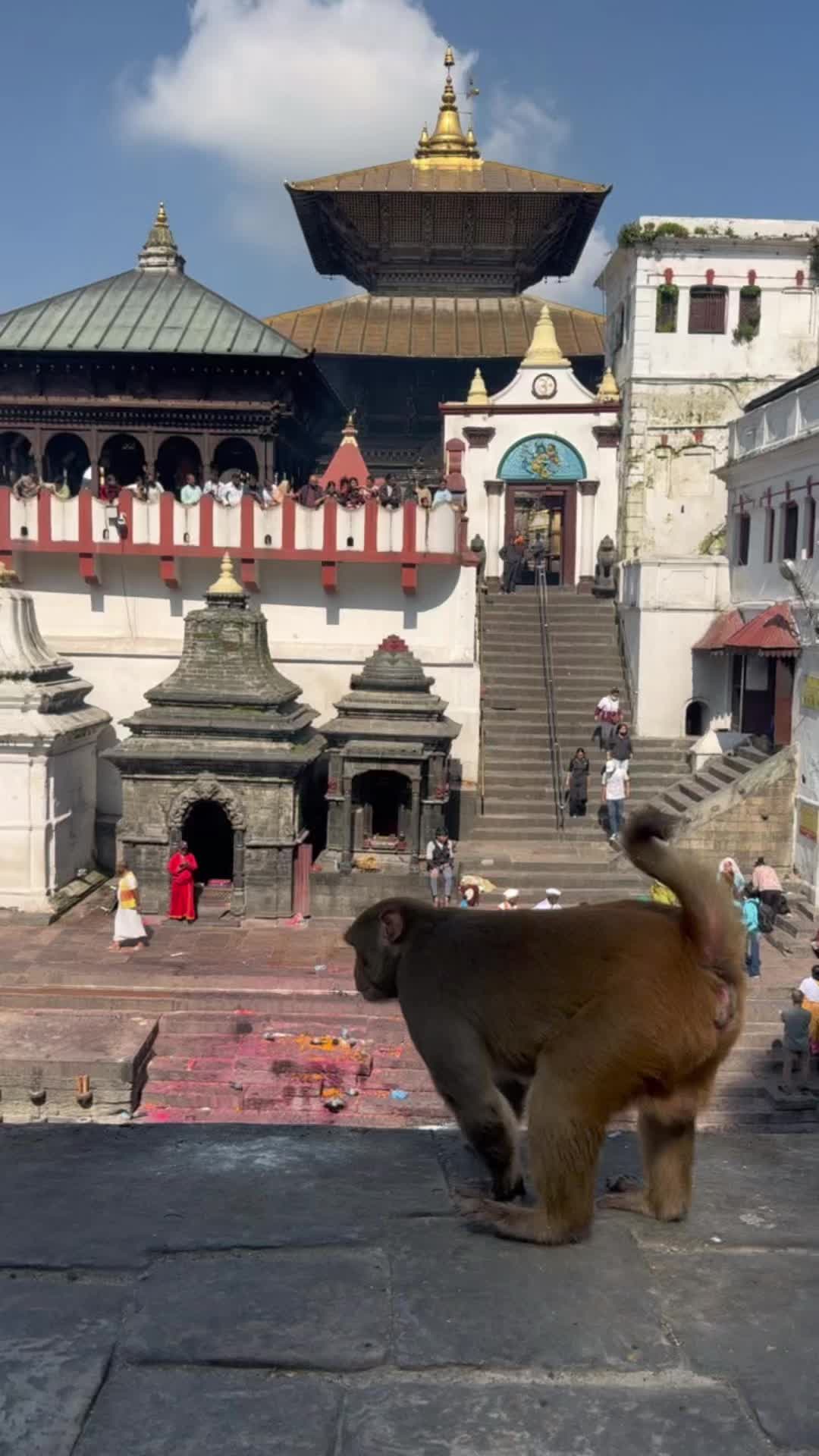 @Traveling Nepali
