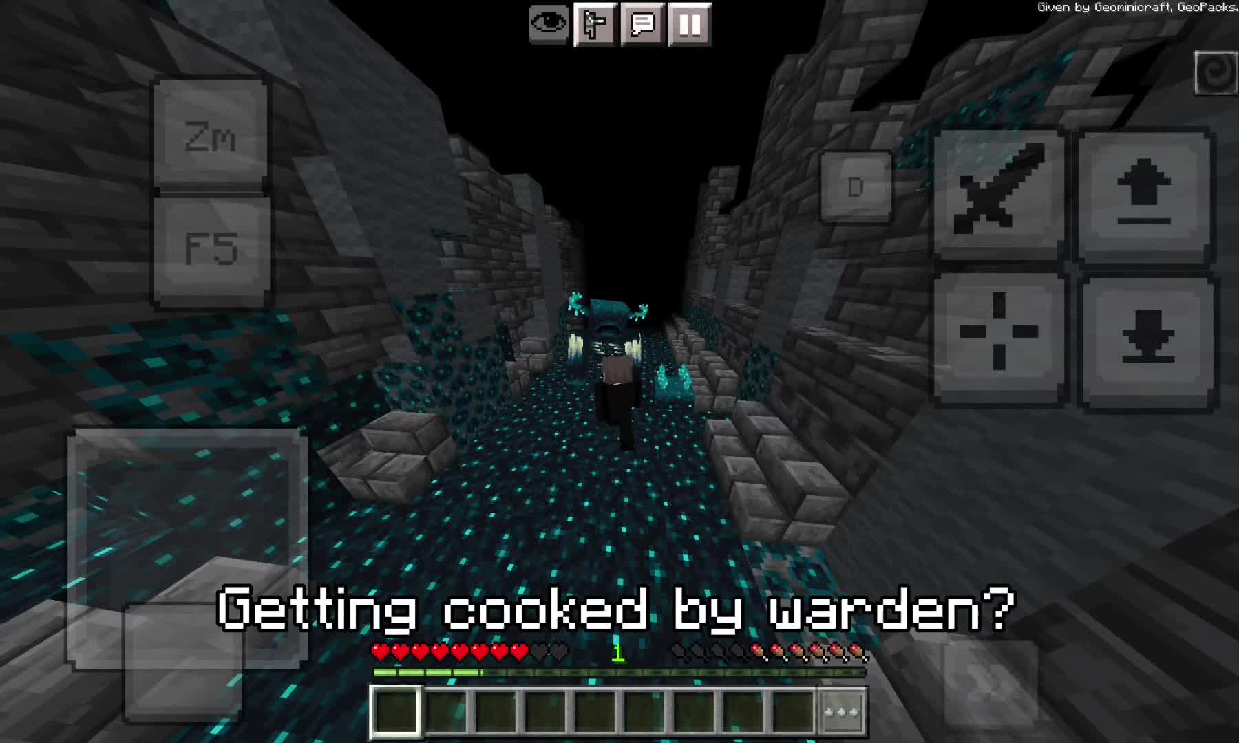 @geominicraft