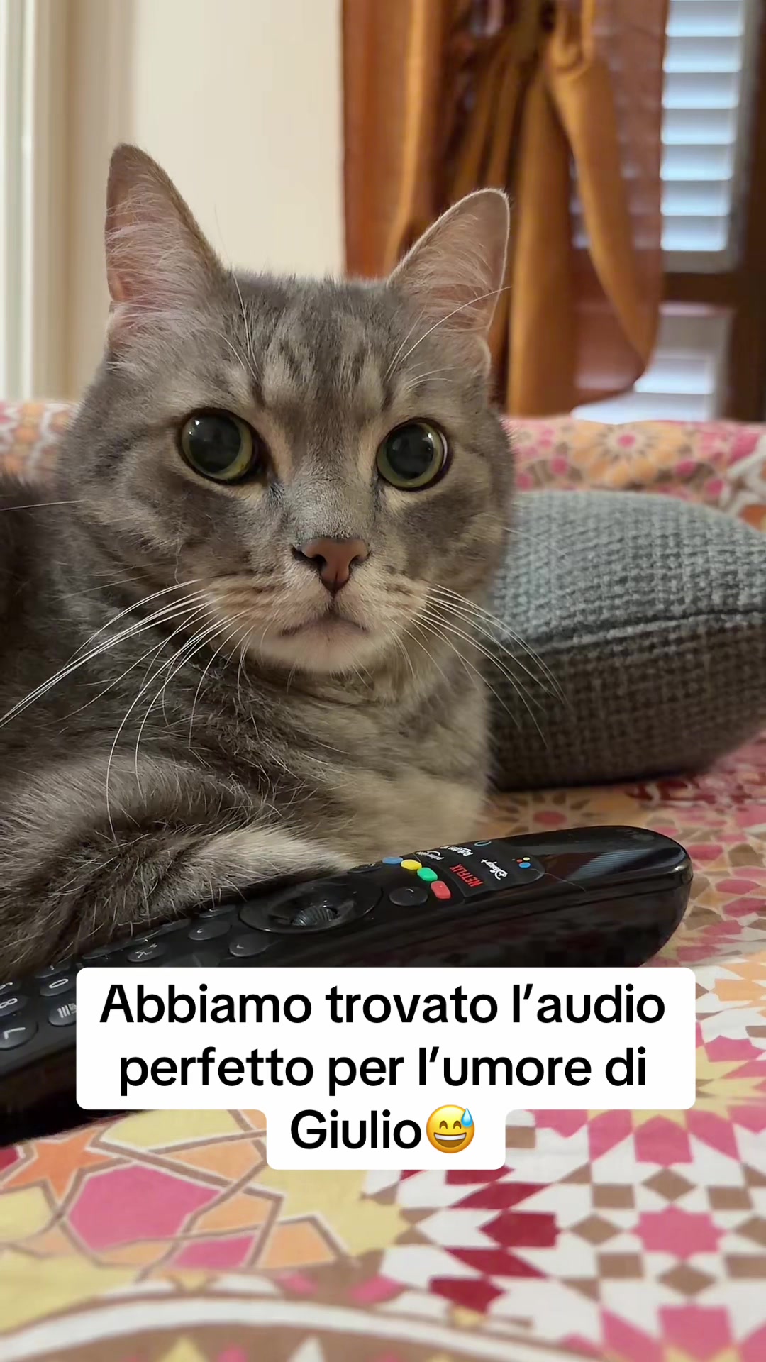 @Mariolover and friends