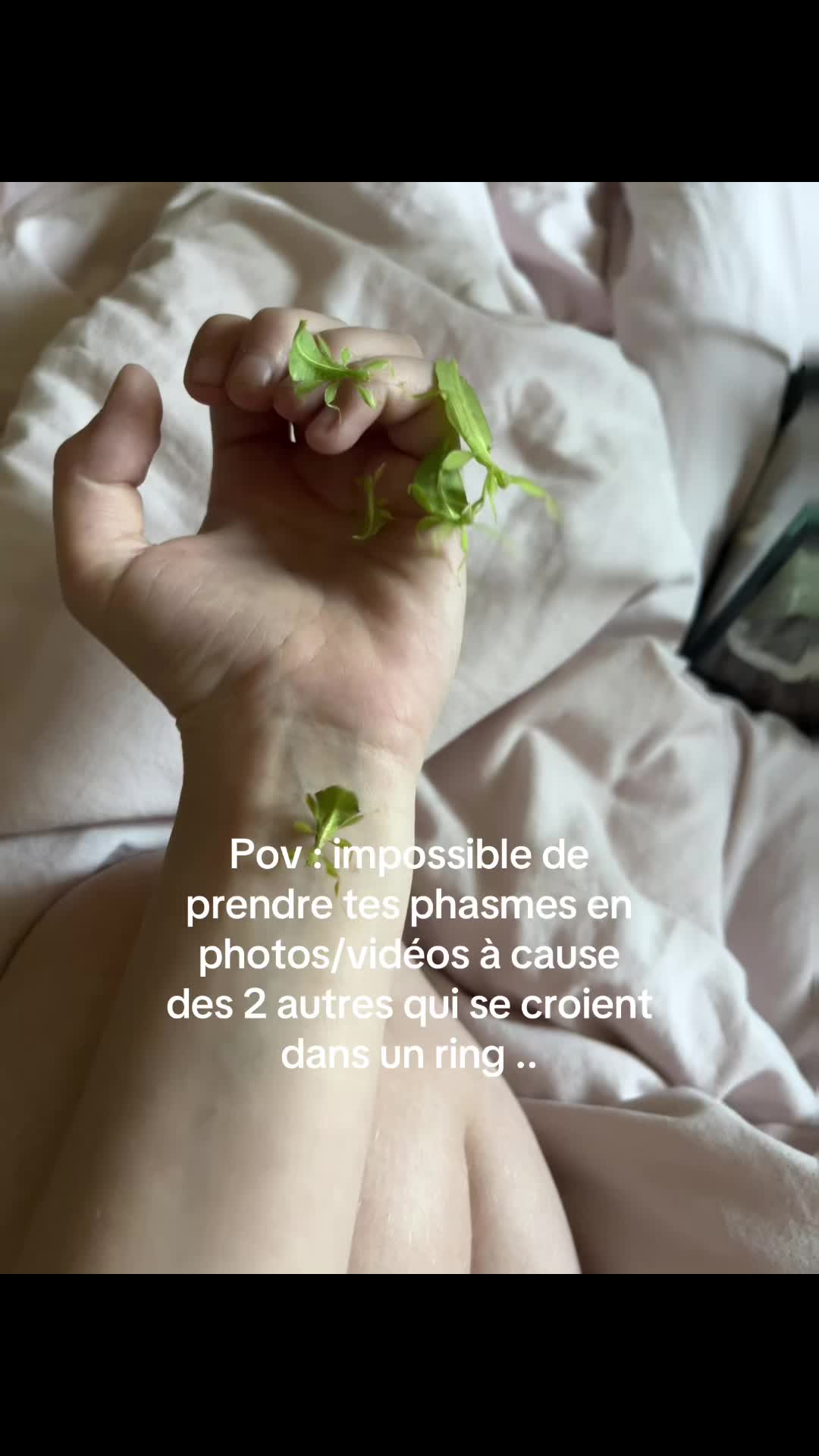 @marionespaᰔᩚ