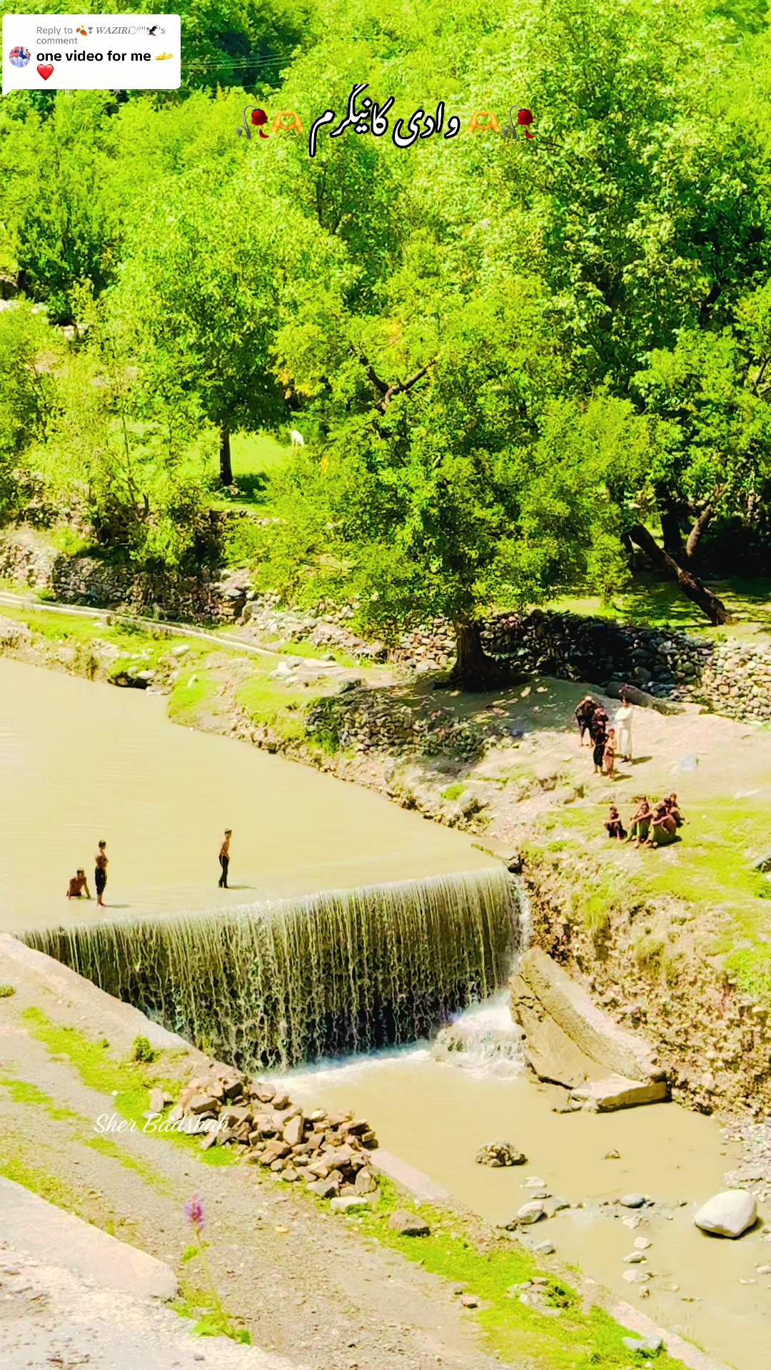 @𝐒𝐡𝐞𝐫 𝐁𝐚𝐝𝐬𝐡𝐚𝐡 🌿