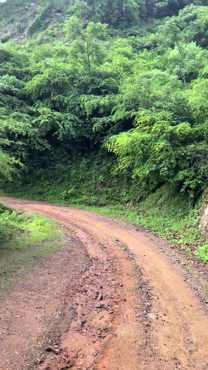 @Moy Osuna