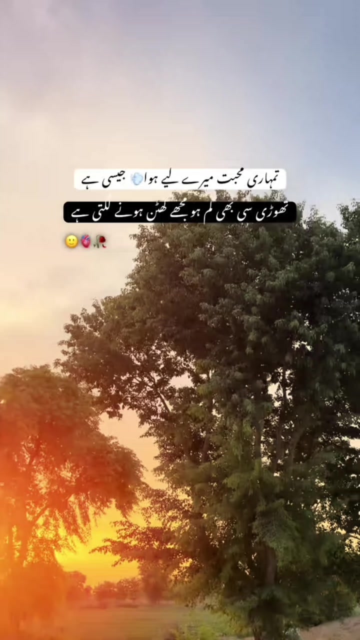@Sheraz Shah 👑❤️💋