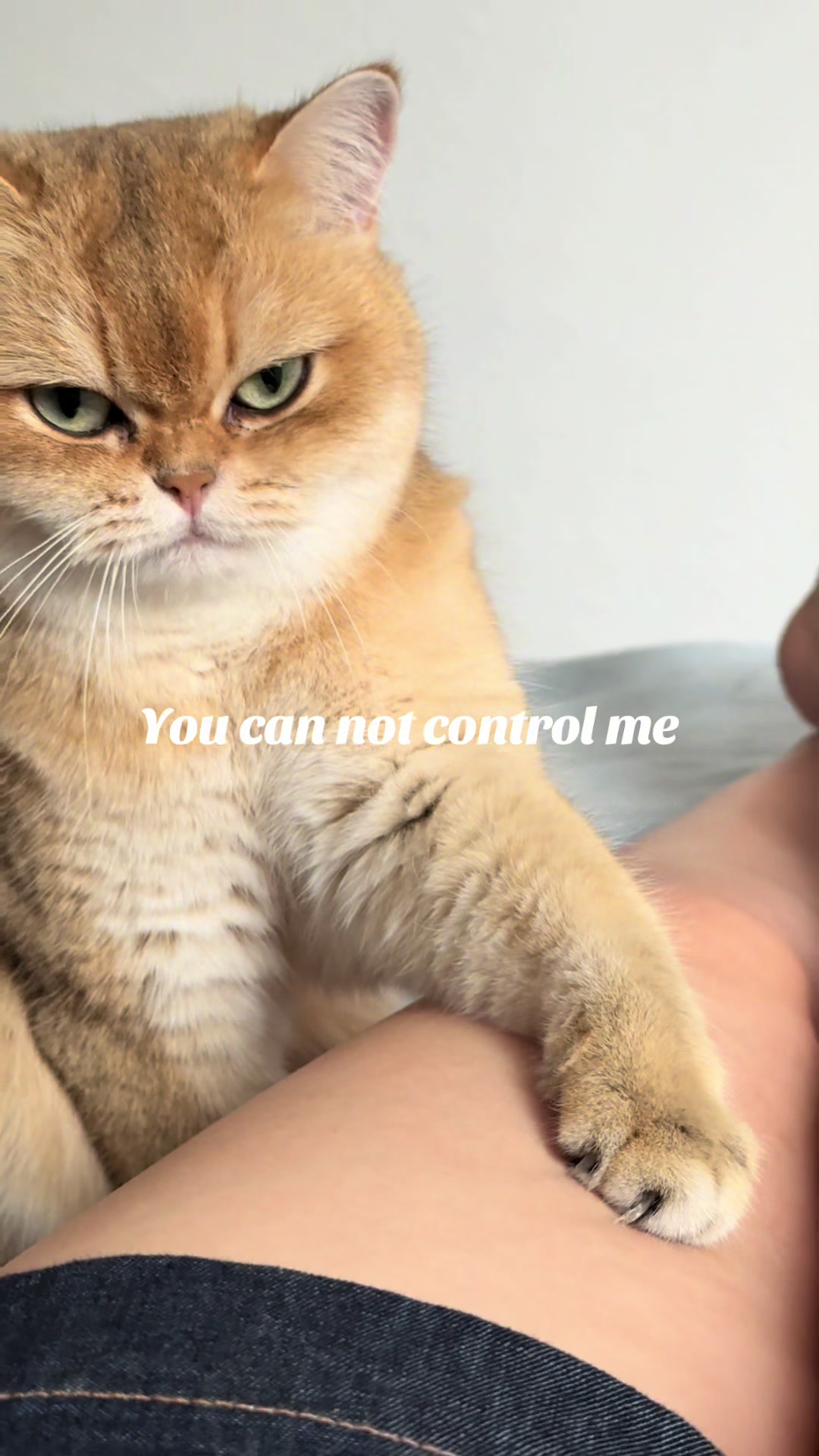 @Lina