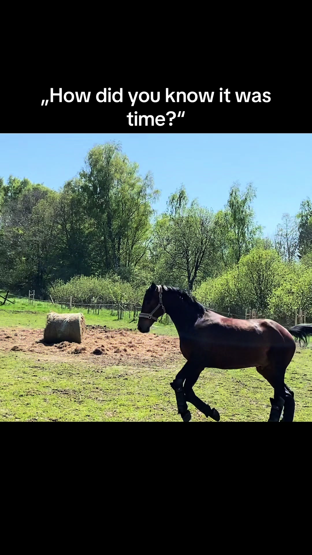 @🍀