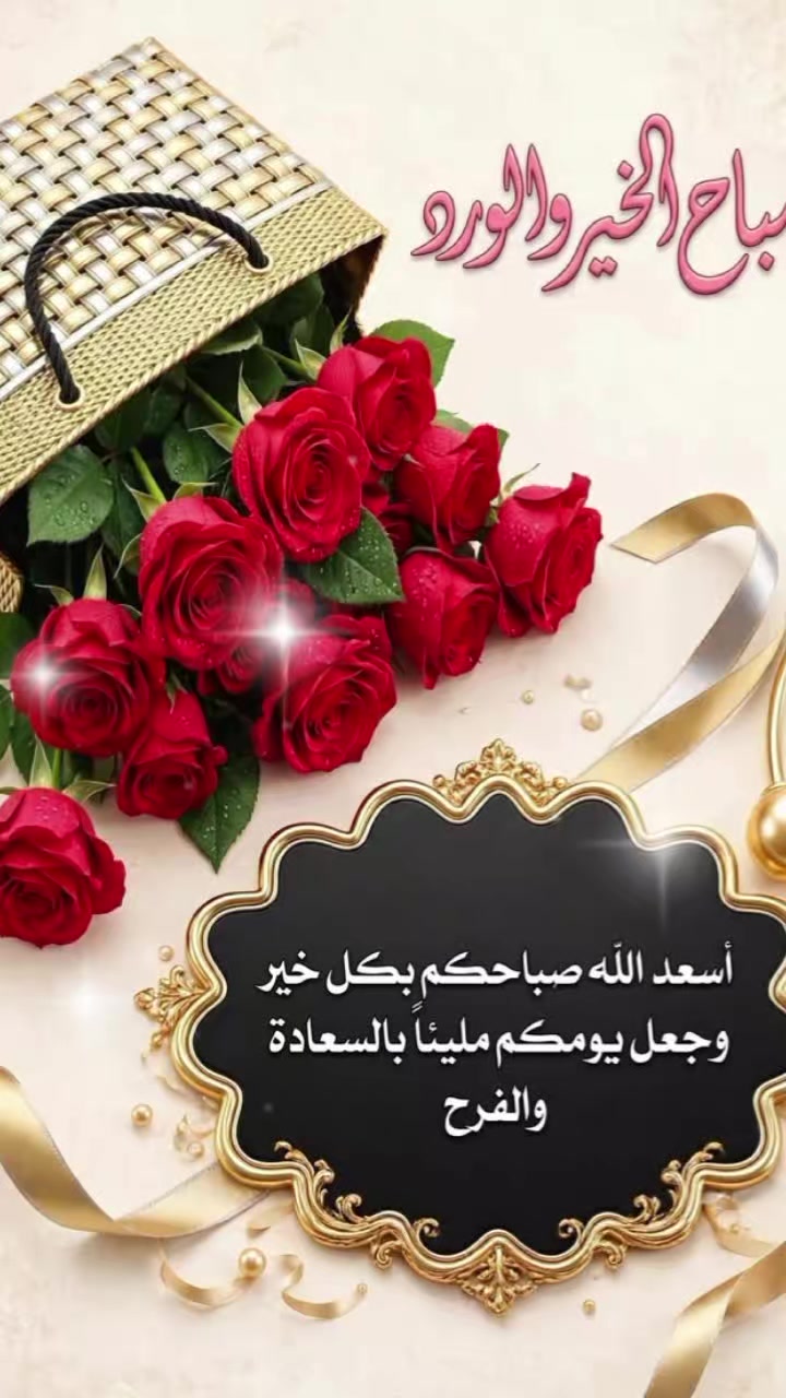@ياسمين التيكتوك